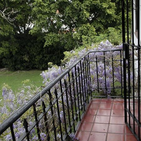 Susana Just Boutique Hotel Vicente López Rum bild